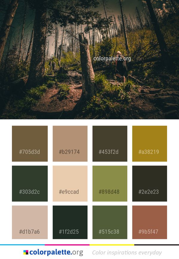 Nature Tree Forest Color Palette