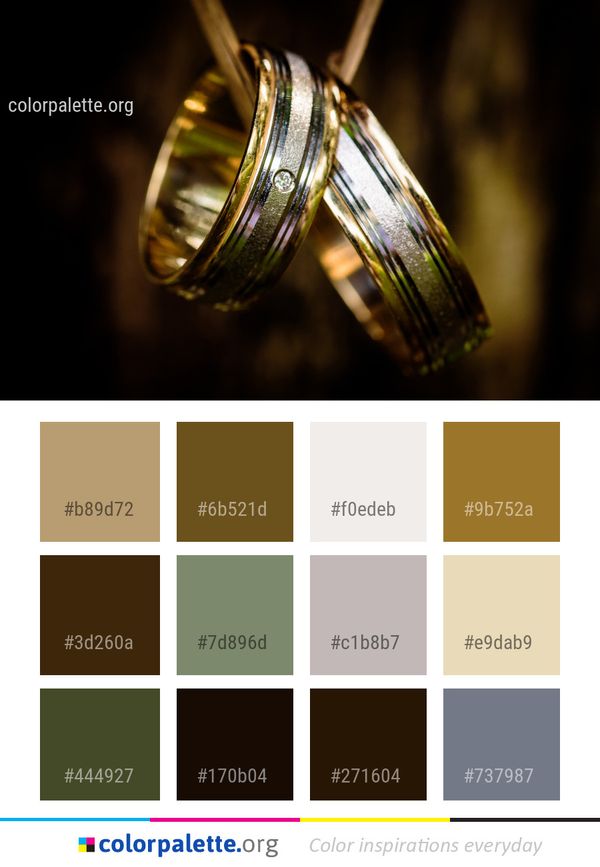 Ring Macro Photography Close Up Color Palette