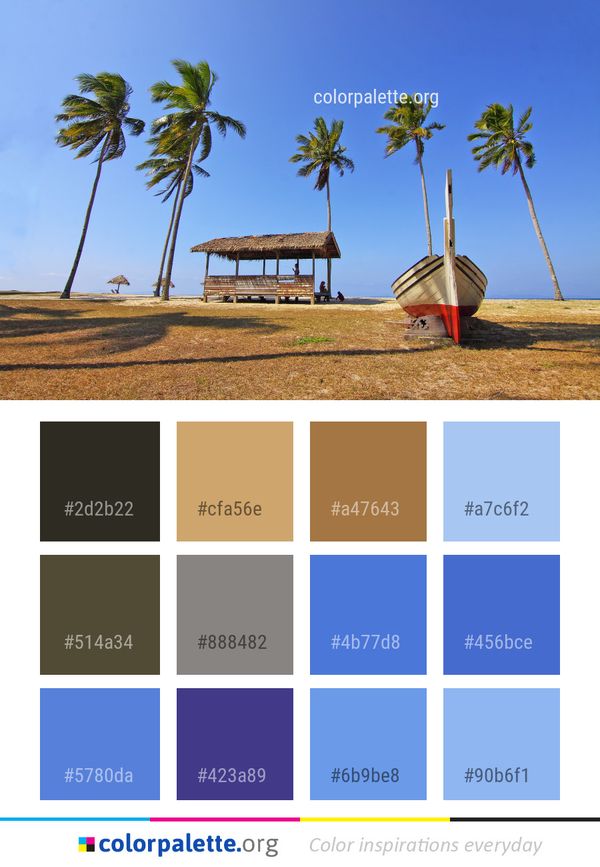 Sky Palm Tree Beach Color Palette