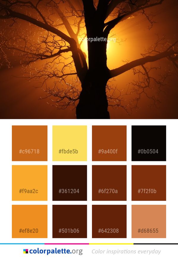 Tree Sky Woody Plant Color Palette