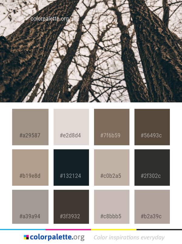 Tree Woody Plant Branch Color Palette