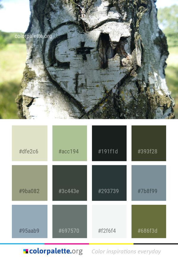 Tree Woody Plant Color Palette