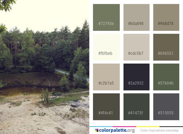 Vegetation Nature Reserve Tree Color Palette