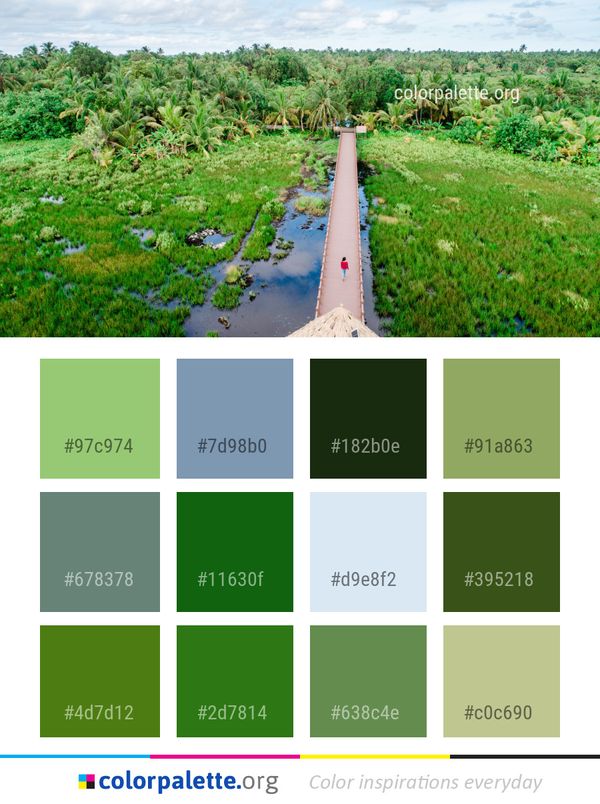 Vegetation Nature Reserve Water Resources Color Palette