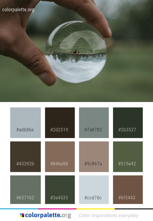 Water Close Up Macro Photography Color Palette