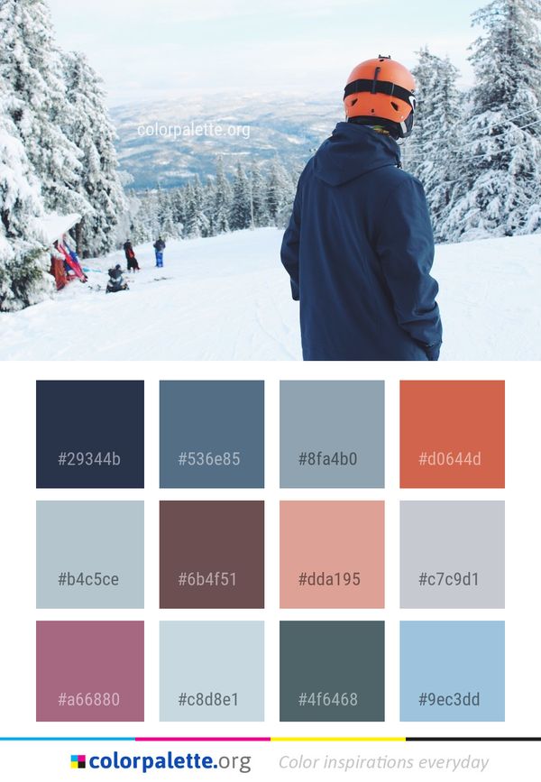 Winter Ski Snow Color Palette
