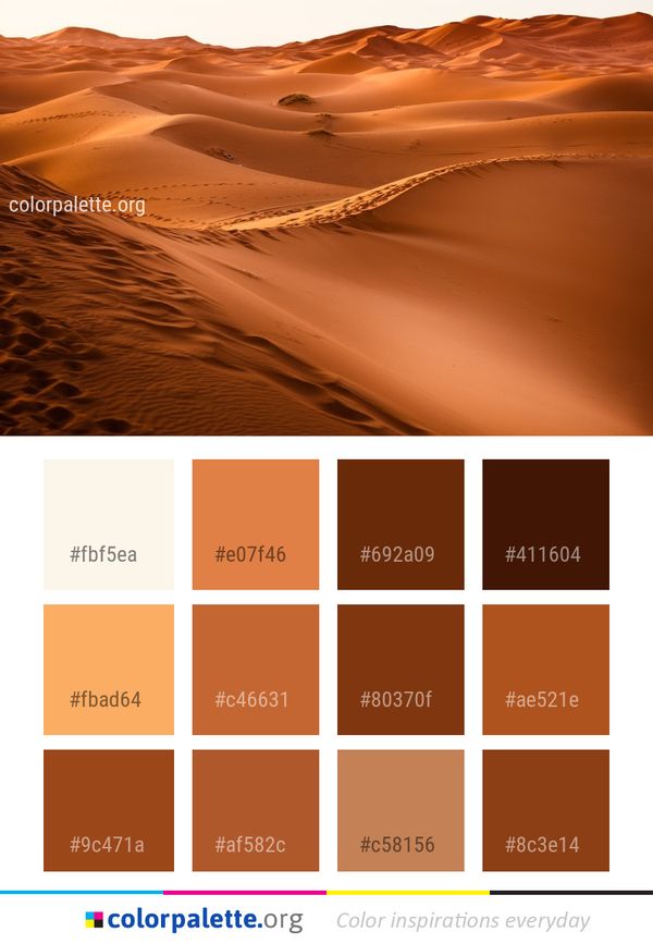 Erg Desert Aeolian Landform Color Palette