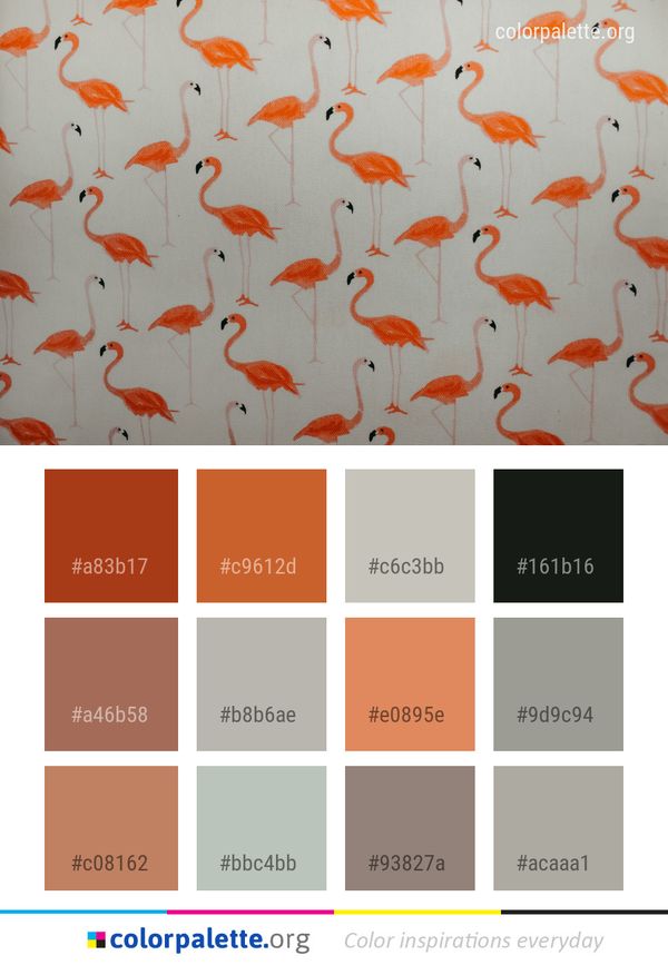 Flamingo Orange Water Bird Color Palette