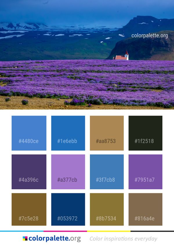 Flower Field English Lavender Color Palette