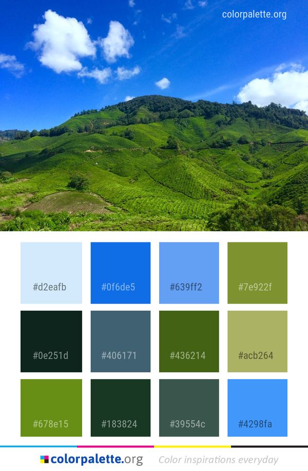 Highland Sky Grassland Color Palette