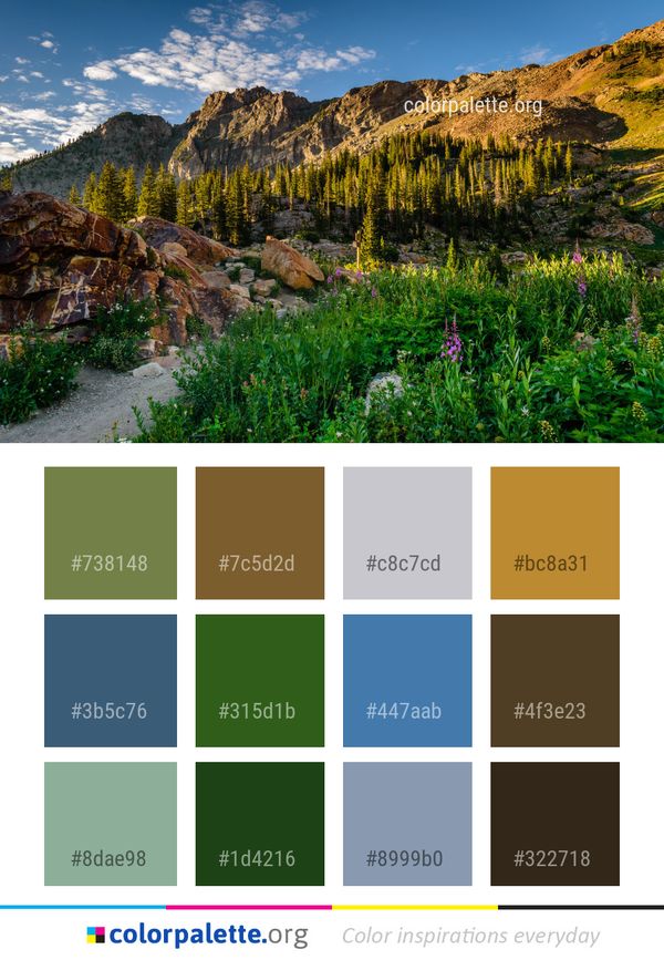 Nature Wilderness Vegetation Color Palette