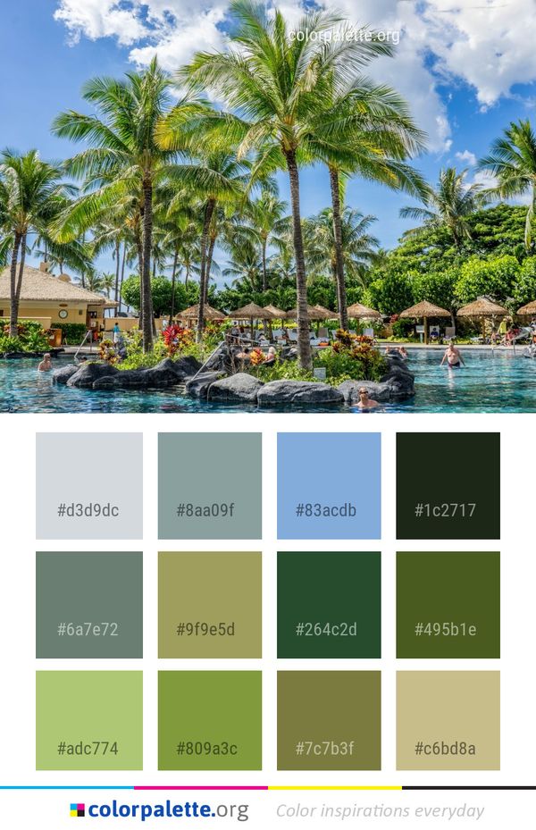 Resort Tropics Palm Tree Color Palette