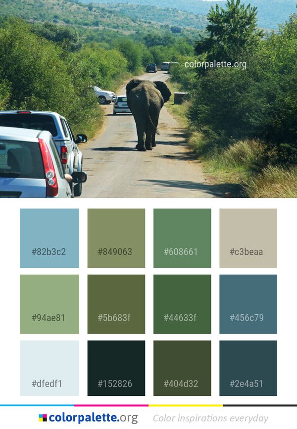 Road Elephants And Mammoths Mode Of Transport Color Palette