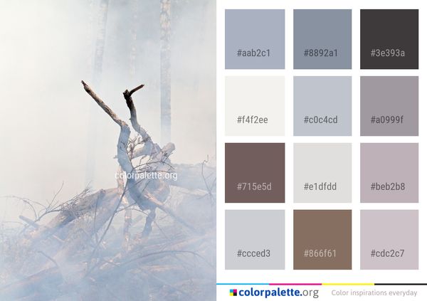 Sky Cloud Tree Color Palette