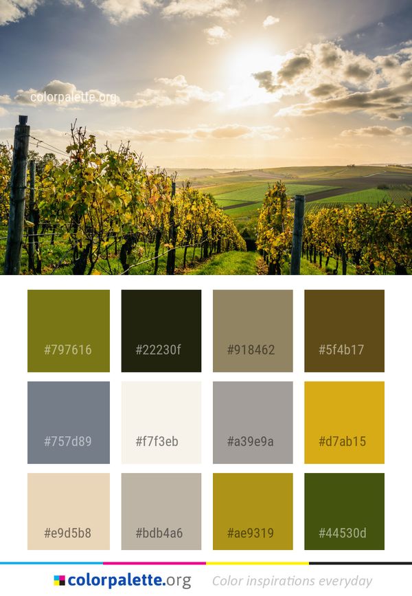 Sky Nature Cloud Color Palette