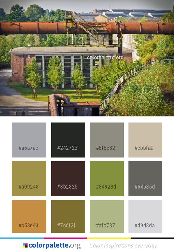 Tree Grass Plant Color Palette
