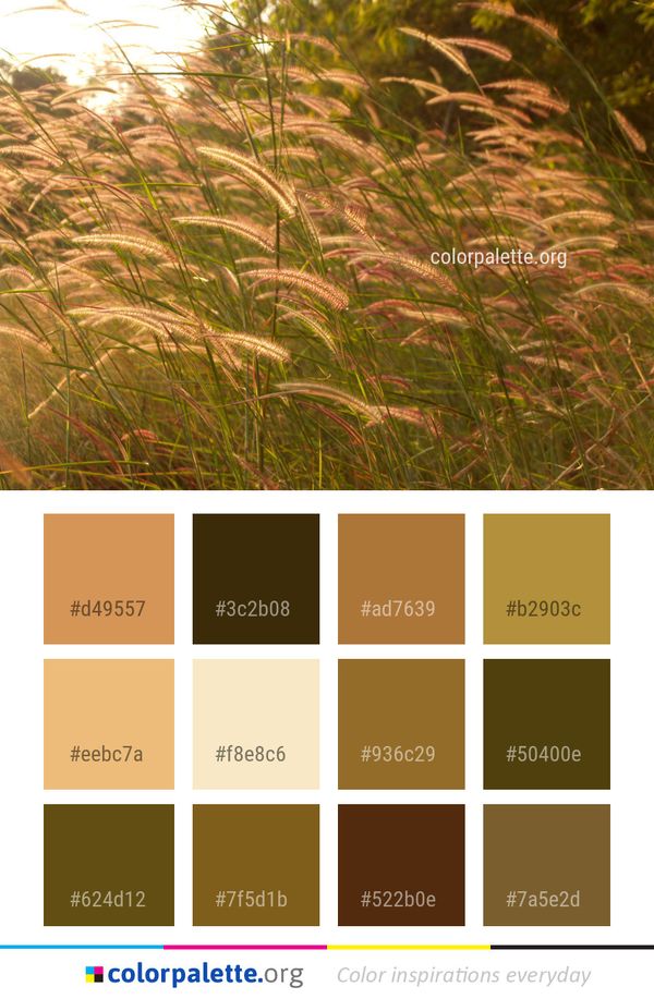 Vegetation Plant Grass Color Palette
