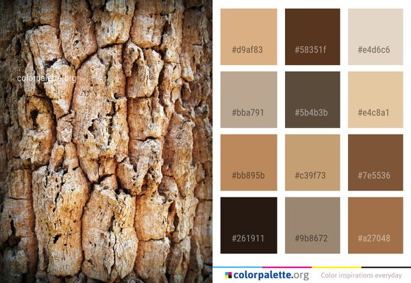 Wood Rock Meju Color Palette