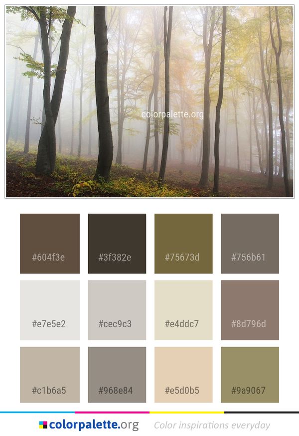 Ecosystem Forest Woodland Color Palette