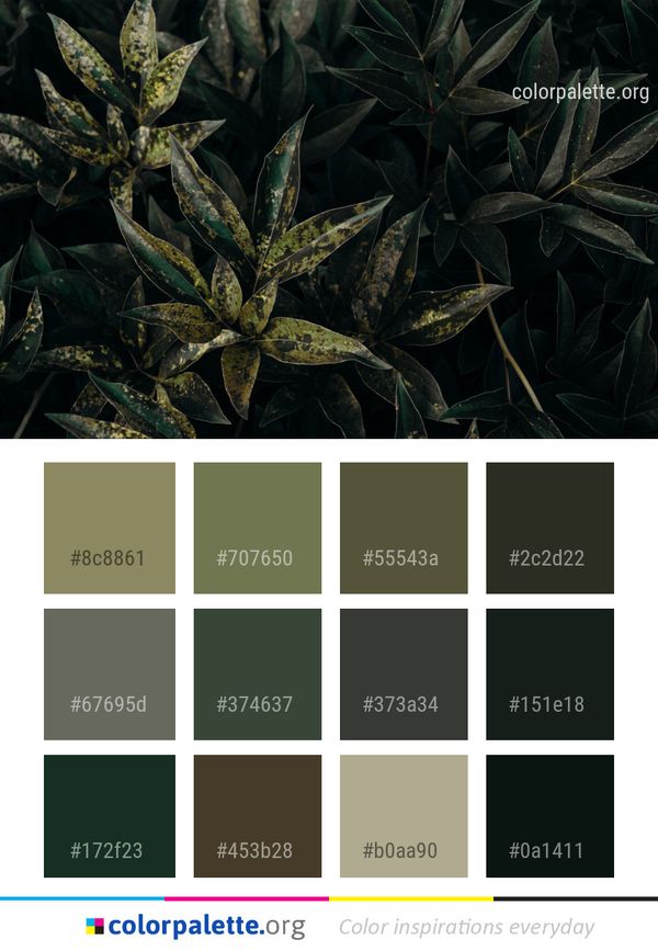 Plant Leaf Flora Color Palette
