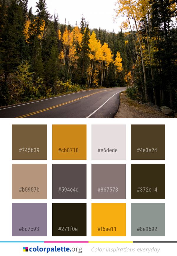 Road Nature Leaf Color Palette