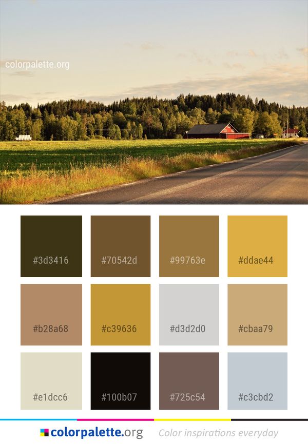 Road Sky Nature Color Palette