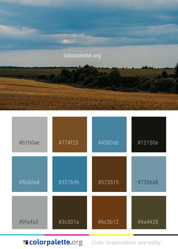 Sky Field Cloud Color Palette