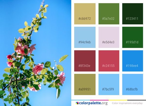 Sky Flora Plant Color Palette