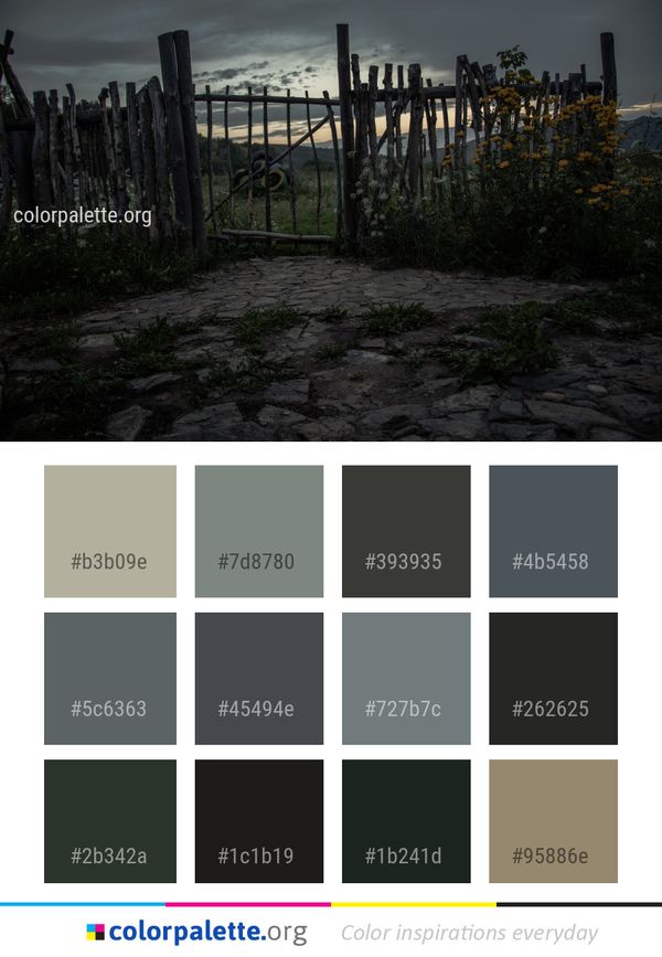 Sky Wall Structure Color Palette