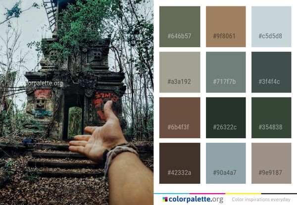 Tree Temple Archaeological Site Color Palette