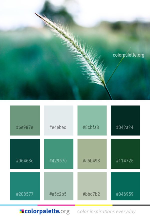 Vegetation Leaf Grass Color Palette