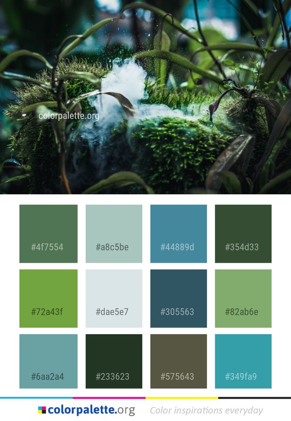 Vegetation Water Leaf Color Palette