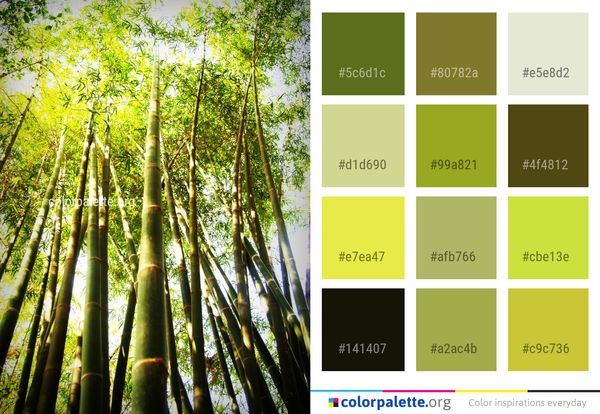 Bamboo Vegetation Flora Color Palette