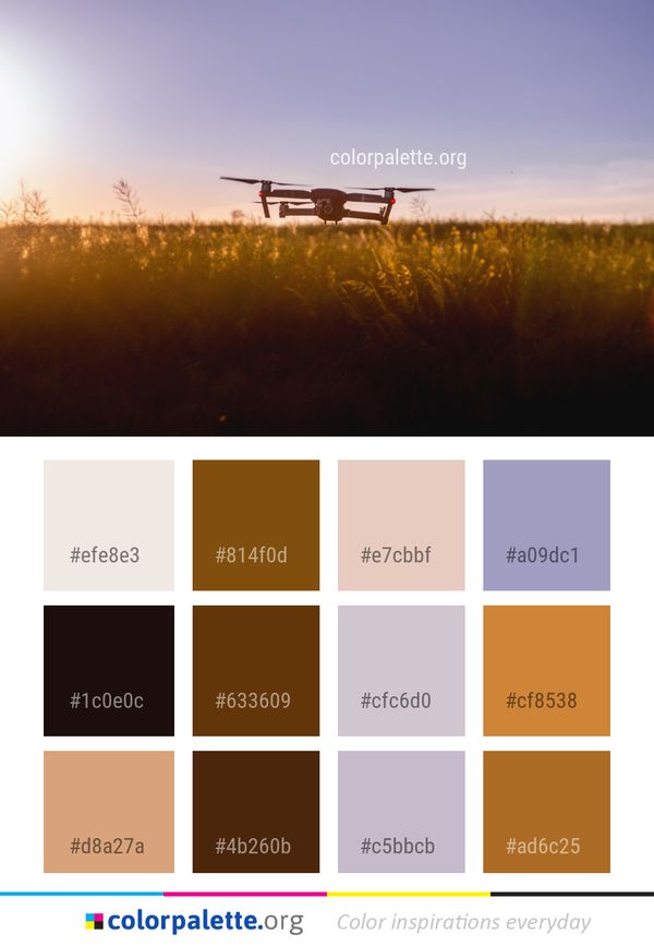 Field Sky Grassland Color Palette