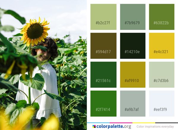 Flower Sunflower Yellow Color Palette