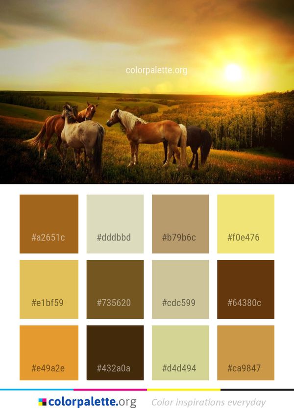 Grassland Horse Ecosystem Color Palette