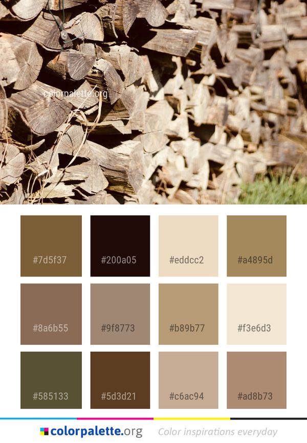 Leaf Wood Plant Color Palette