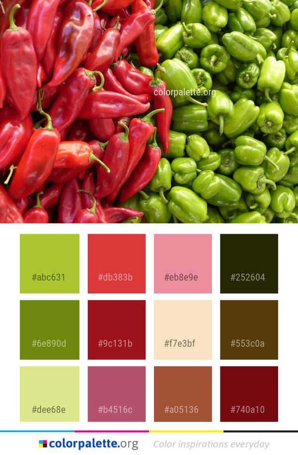 Natural Foods Vegetable Local Food Color Palette