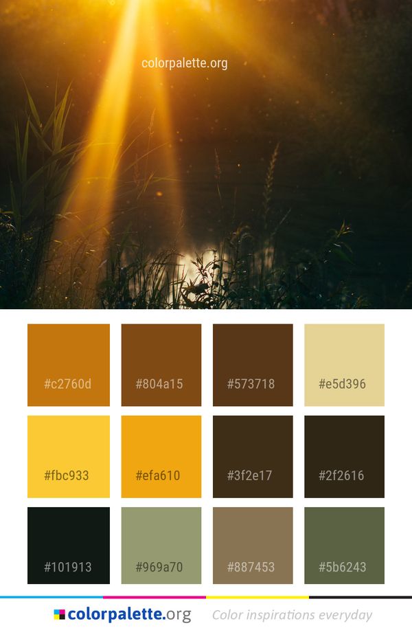 Nature Atmosphere Light Color Palette