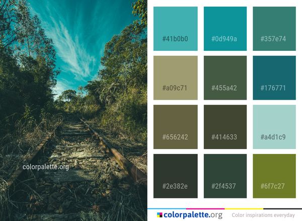 Nature Vegetation Tree Color Palette