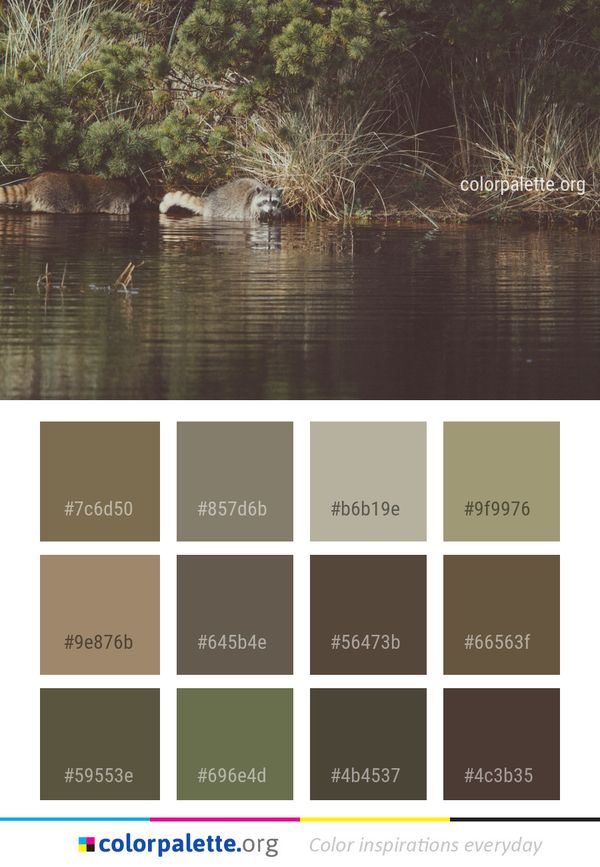 Reflection Water Waterway Color Palette