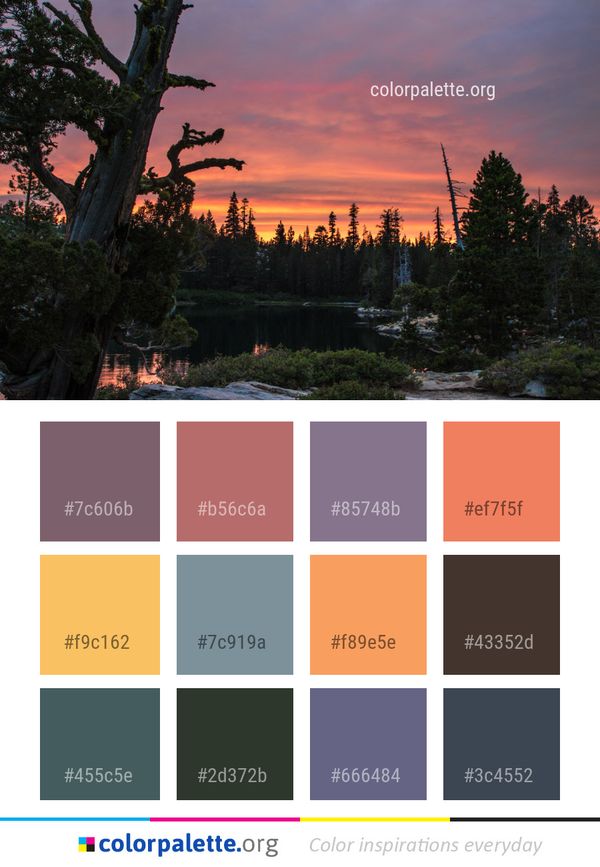Sky Nature Reflection Color Palette