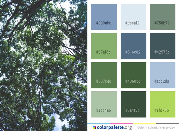 Tree Vegetation Branch Color Palette