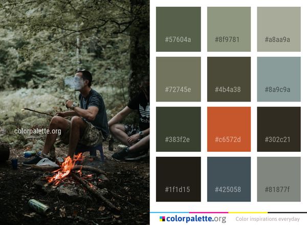 Tree Water Forest Color Palette