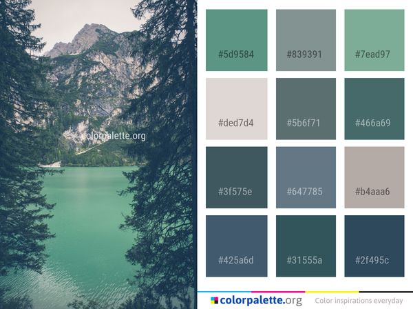 Water Nature Reflection Color Palette