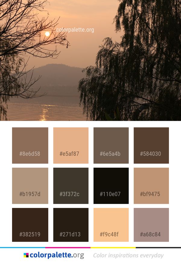 Water Sky Sunrise Color Palette