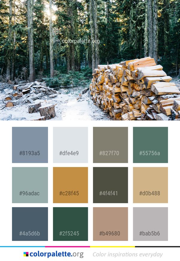 Winter Tree Snow Color Palette
