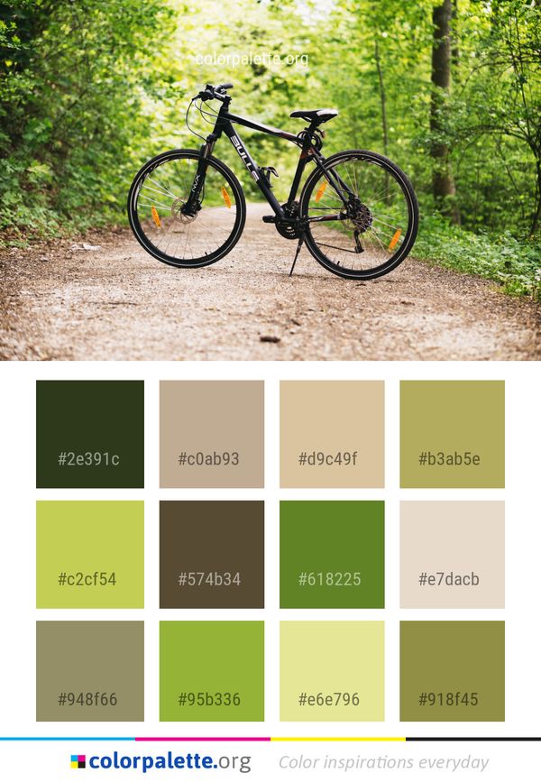 Bicycle Road Land Vehicle Color Palette
