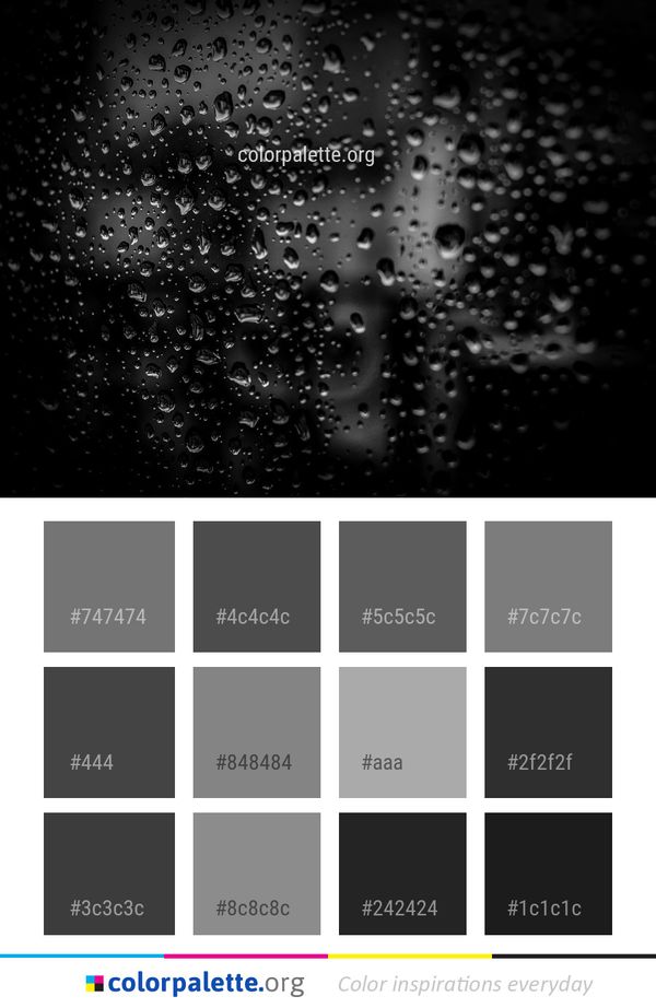 Black Water And White Color Palette