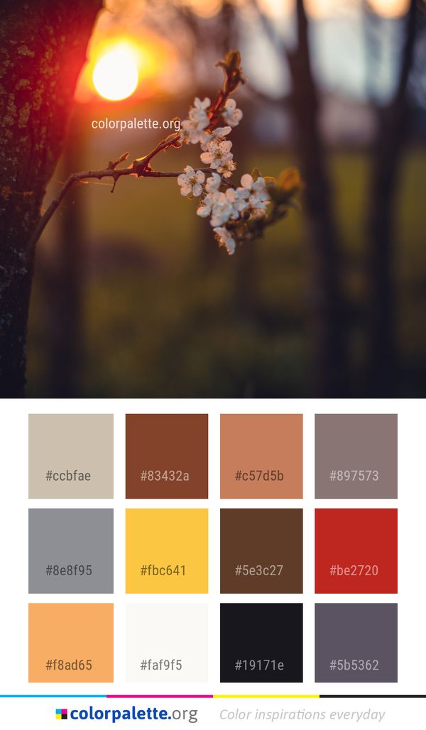 Branch Blossom Spring Color Palette
